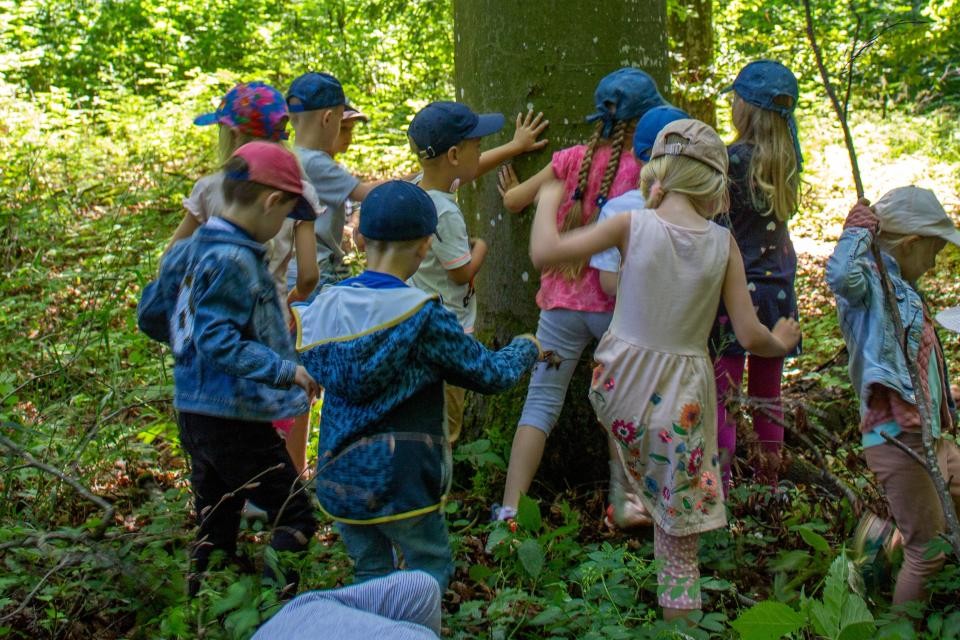 Kinder stehen um einen Baum und erkunden den Stamm.
