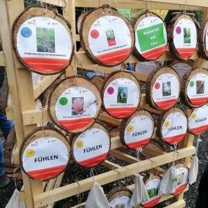 Infostand beim Grünen Tag