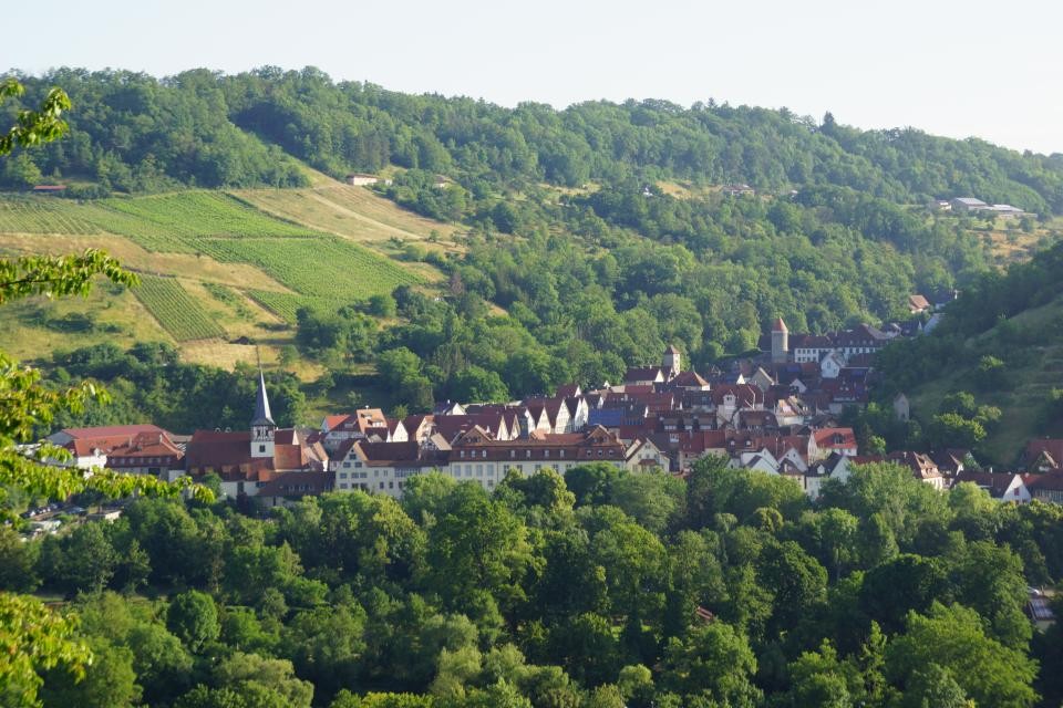 Ein Städtchen zwischen grünen Bäumen. Im Hintergrund ist ein steiler Hang mit Weinbergen, teilweise sind auch Pragflächen zu sehen. Der Kirchturm und zwei weitere historische Türme ragen hervor.