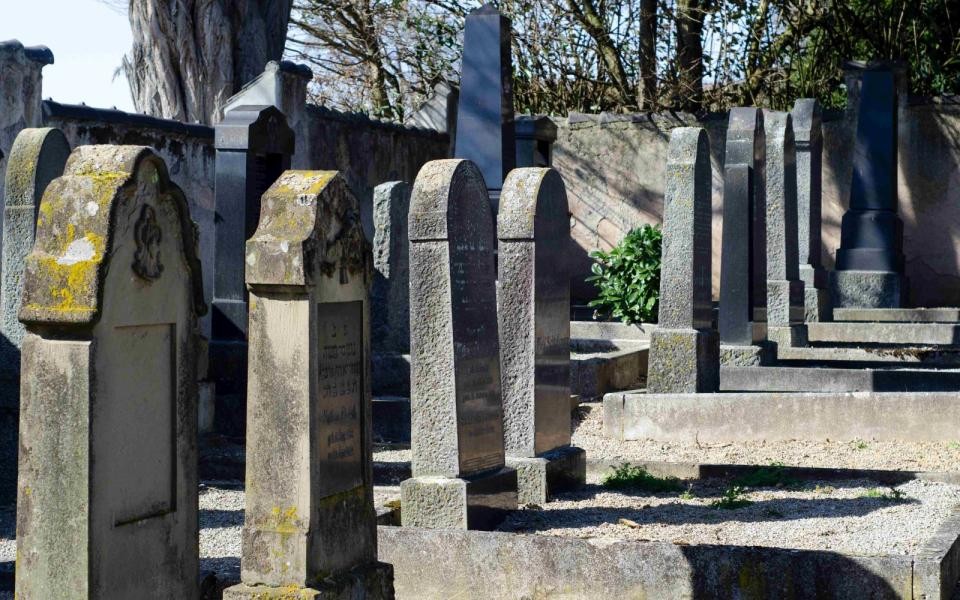 Jüdischer Friedhof Steinerne Grabmale stehen in Reihen. Im Hintergrund ist ein Baum zu sehen.