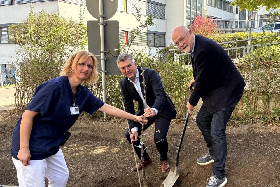 Symbolisch pflanzte Landrat Schölzel einen Apfelbaum im Garten des Hospizes St. Elisabeth Hohenlohe in Künzelsau