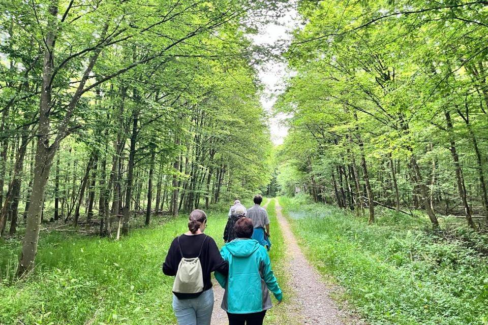 Vier Menschen in der Bildmitte in Outdoor-Kleidung, wie sie einen grauen Schotterweg entlang gehen. Links und rechts sind grüne Bäume und Sträucher.