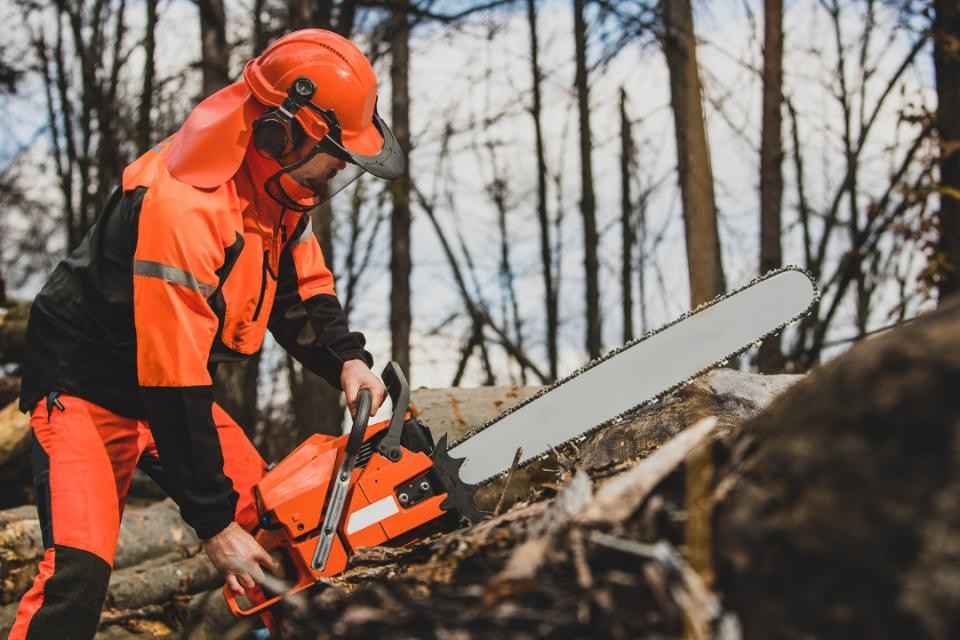Mann in orangefarbener Schutzkleidung und Schutzausrüstung, während er einen braunen Baumstamm sägt.