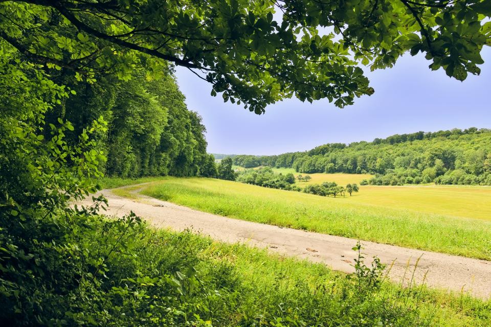 Ein geschotterter Feldweg führt durch eine grüne Wiese. Links ist ein grüner Wald. Im Hintergrund befindet sich blauer Himmel und ein Waldstück.