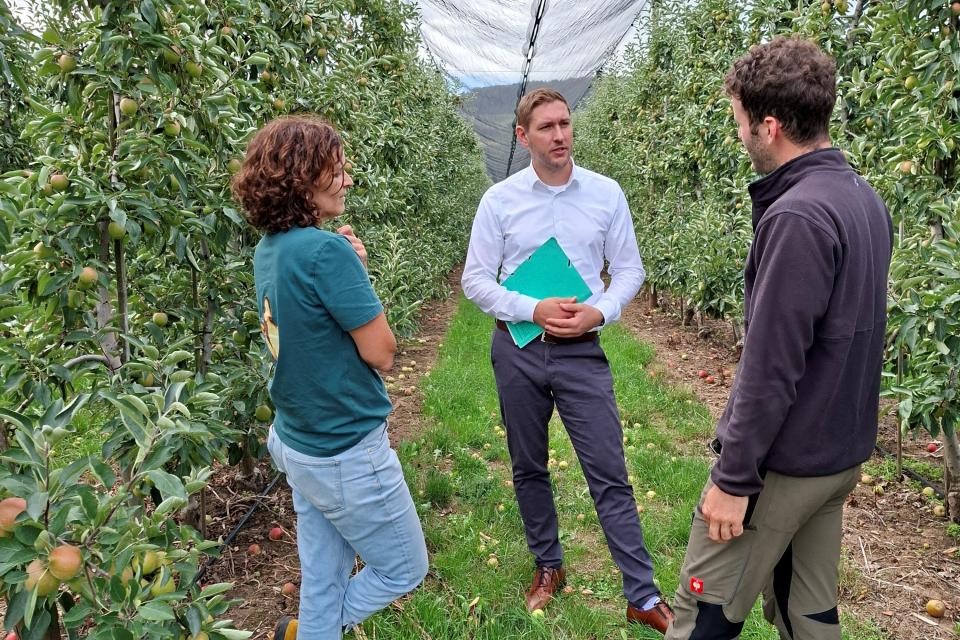 Drei Personen stehen inmitten einer grünen Obstbaumplantage auf Gras. Über der Plantage ist ein weises Netz gespannt.