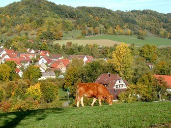 Grüne Landschaft, im Hintergrund Häuser, im Vordergrund grast eine Kuh auf der Weide.