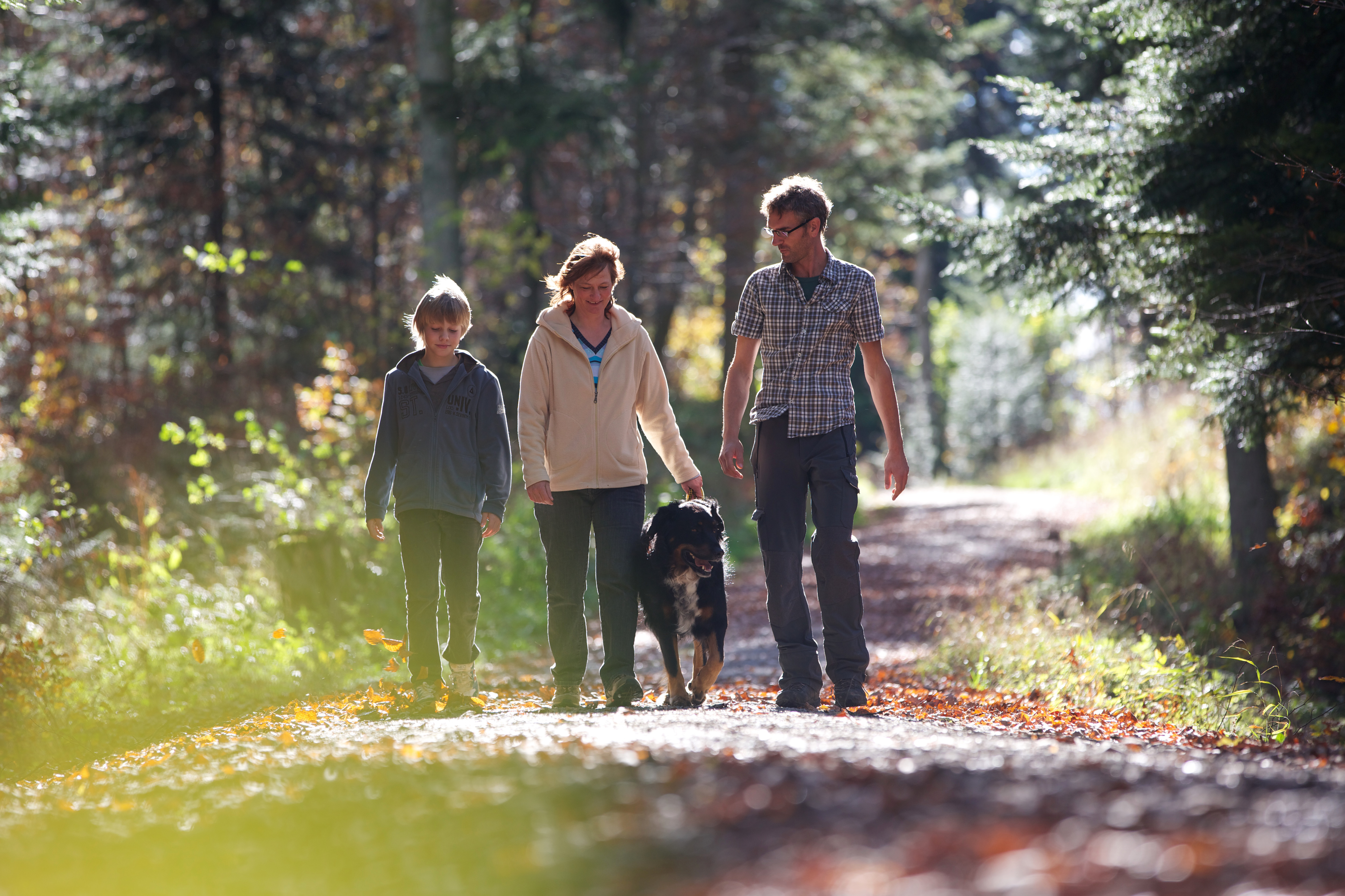Zwei Erwachsene und ein Kind laufen im Wald spazieren. Im Hintergrund sind Bäume zu sehen.