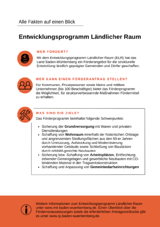 Flyerseite zum Entwicklungsprogramm: Darstellung der Rahmenbedingungen