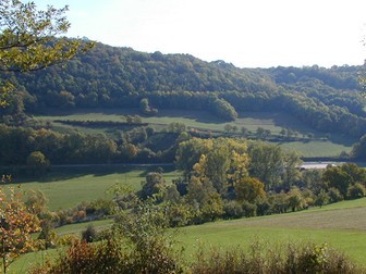 green landscape with forest and medow